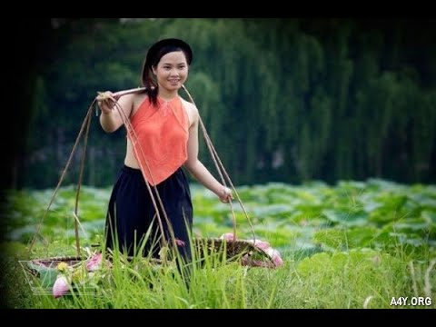 Quần dáng cong đang gây sốt với thiết kế độc đáo và tính ứng dụng cao, giúp tạo hiệu_kỹ năng sáng tạo nội dung
