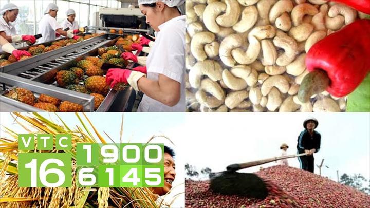 Hotspot Matrix: Biến 3 năm trước nghỉ việc ra đảo thành cơ hội marketing đột phá