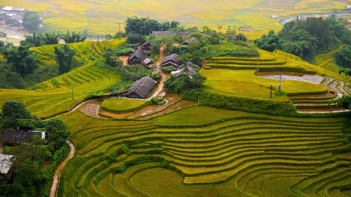 - Tận dụng công nghệ AI: Công nghệ AI có thể giúp các nhà sáng tạo tạo ra nội dung