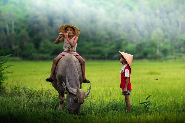 Xu hướng nóng như mùa hè trong vũ trụ: Hotspot Matrix tạo ra video marketing độc đáo