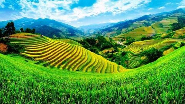 Hotspot Matrix: Động lực hay Áp lực cho Nhà Sáng Tạo Nội Dung?