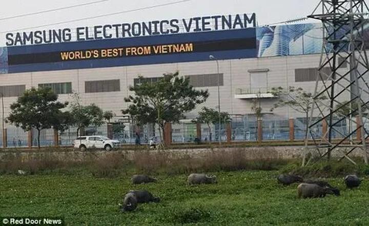 Tự Do Tài Chính: Hành Trình Của Tôi Với Hotspot Matrix